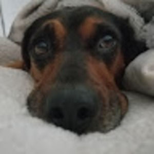 Meet your Posher, Deanna